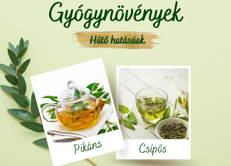 Ájurvéda – Csípős/pikáns ízű gyógynövények (hűtő hatásúak)