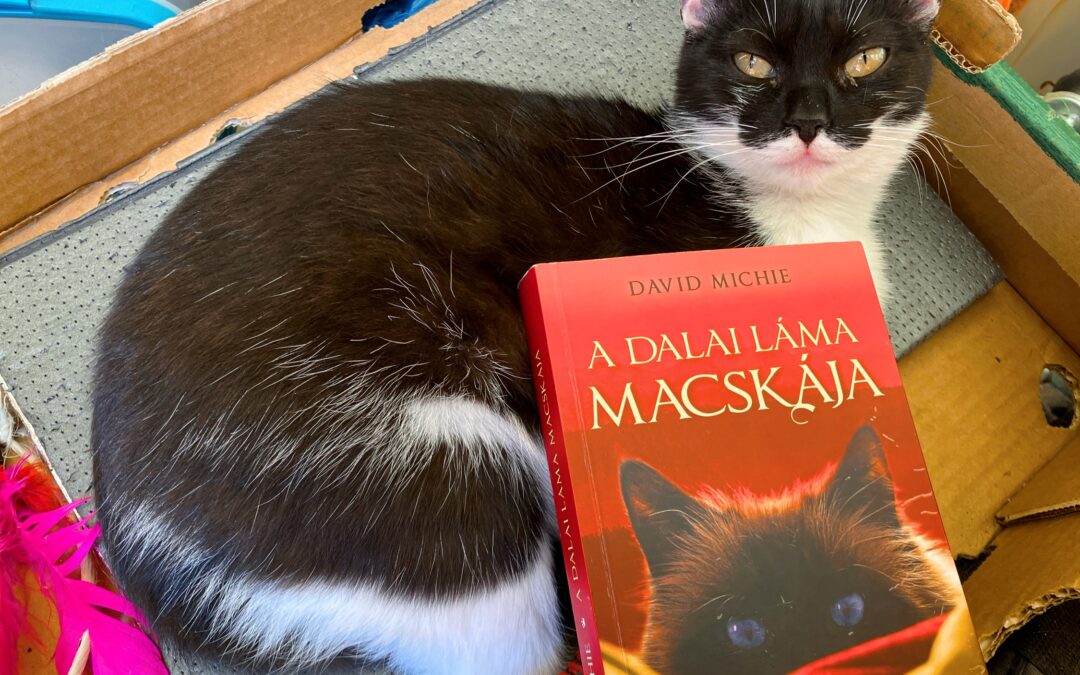 Könyvajánló – A Dalai Láma macskája